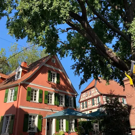 Nierstein Wohnung Nierstein